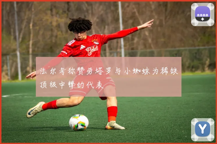 法尔考称赞劳塔罗与小蜘蛛为稀缺顶级中锋的代表