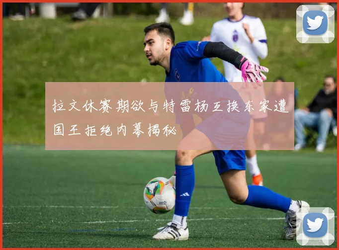 拉文休赛期欲与特雷杨互换东家遭国王拒绝内幕揭秘