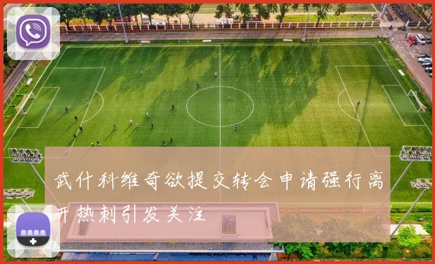 武什科维奇欲提交转会申请强行离开热刺引发关注